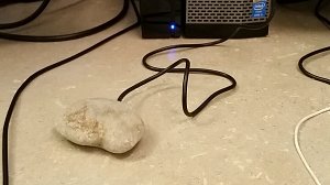 USB Pet Rock, it is a rock with a usb cord sticking out of it